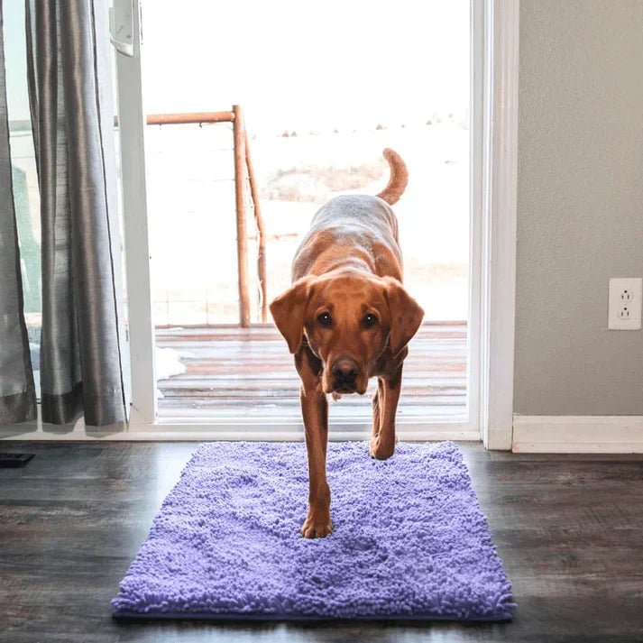 Dog Mat Ultra-Absorbent Chenille Non-Slip & Machine Washable