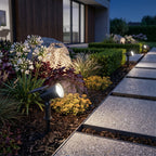 Solar Garden Light with Colorful Decorative Lighting Effects