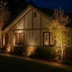 Solar Garden Light with Colorful Decorative Lighting Effects