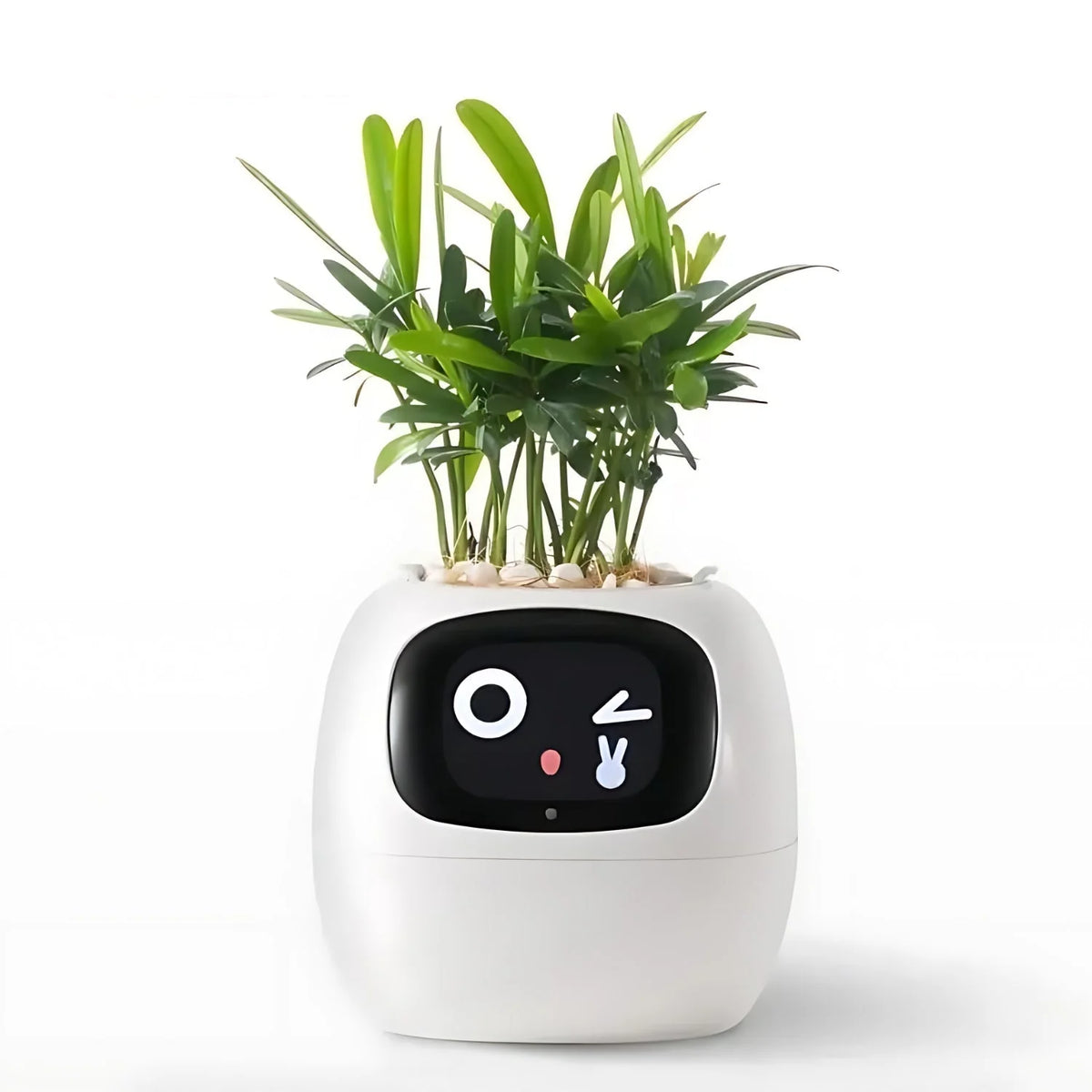 Smart Flower Pot Self-Watering Interactive Emoji Display & App Alerts