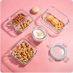 Lunchbox Borosilicate Glass Air-Tight Leak-Proof Oven & Microwave Safe
