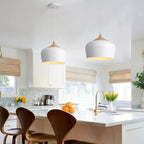 Scandinavian Style Pendant Lamp | Iron and Wood Texture Design