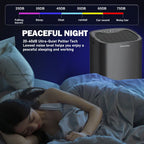 Dehumidifier 1000ml Quiet 2-in-1 Air Filtration