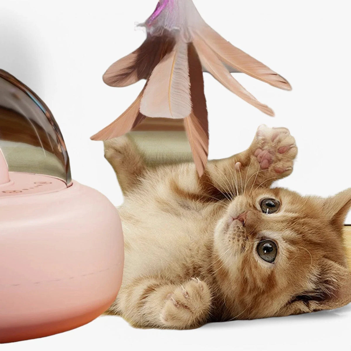 Interactive Cat Toy Intelligent Moving Laser USB Rechargeable