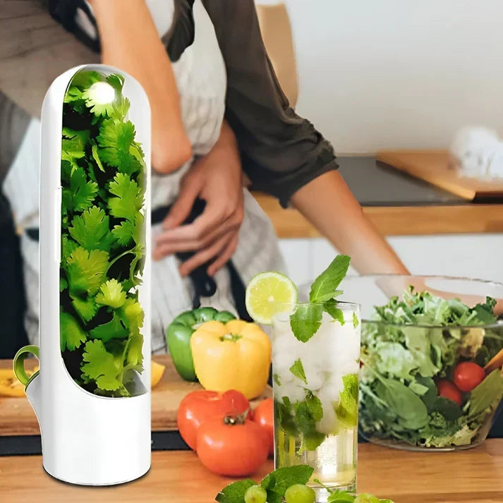 Herb Storage Box Air Circulation & Humidity Control