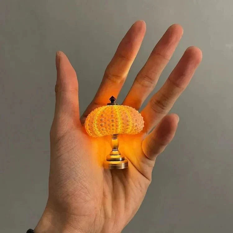 Night Light Kit Natural Sea Urchin Shell Gilded Base