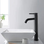 Cold Water Tap Matte Black Stainless Steel