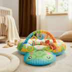 Sensory Play Arch Tummy Time Cushion