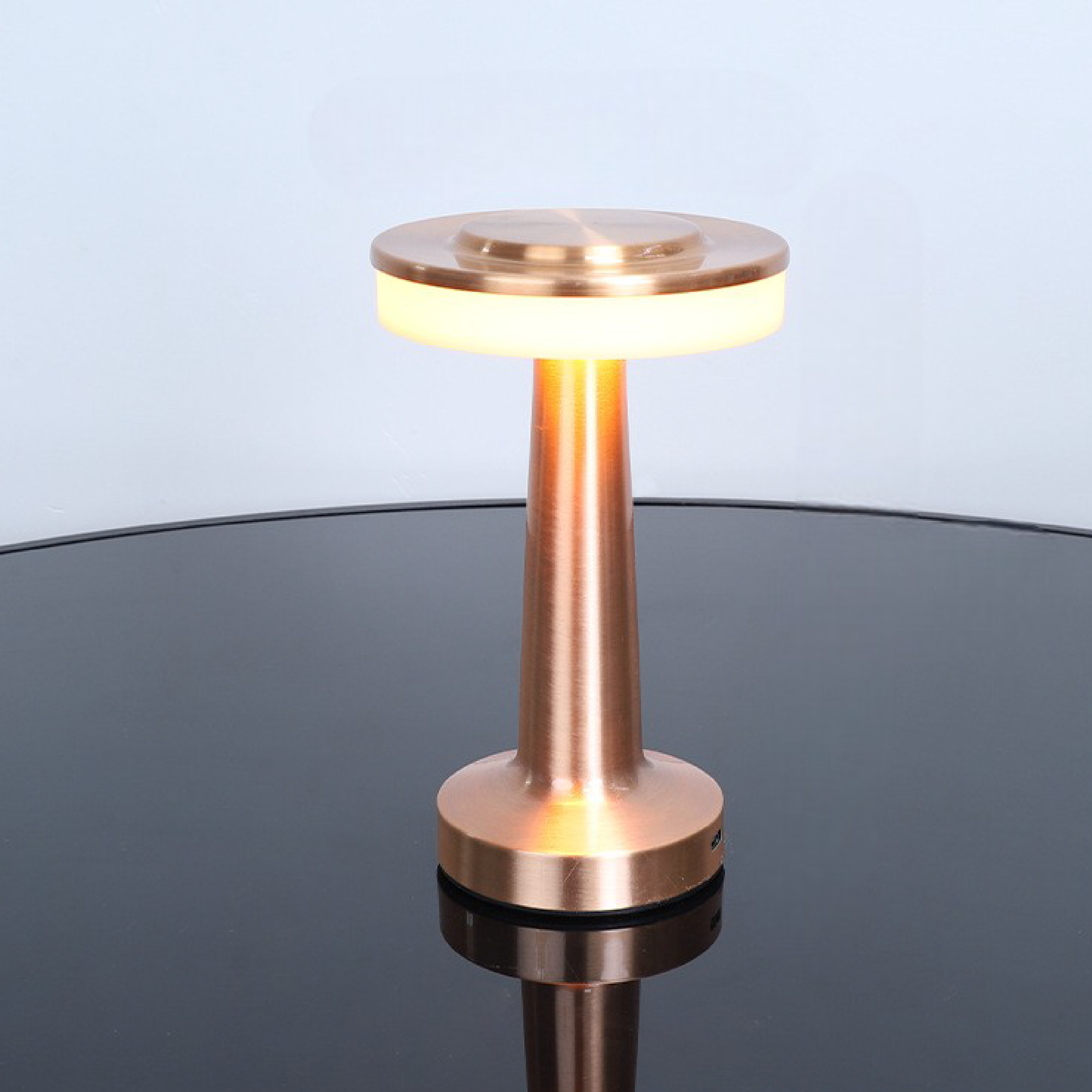 Contemporary LED Desk Lamp with Metal Base