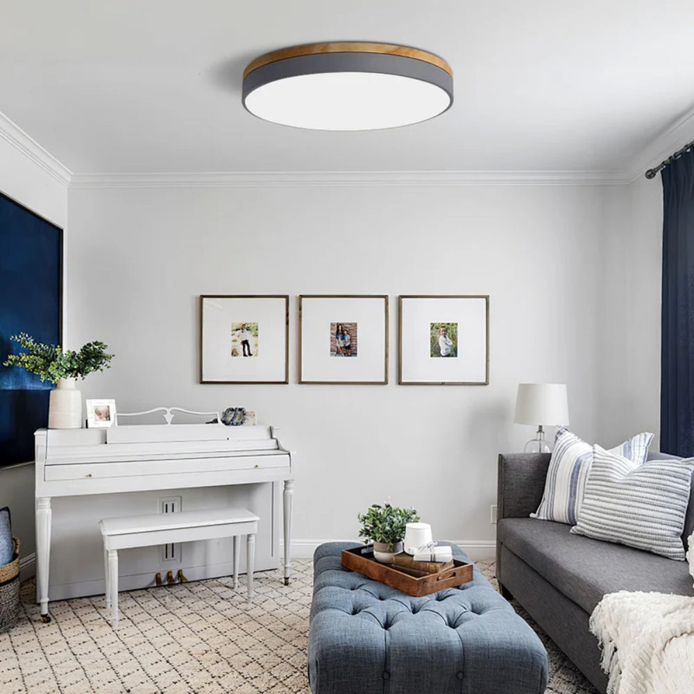 Round Slim LED Ceiling Fixture
