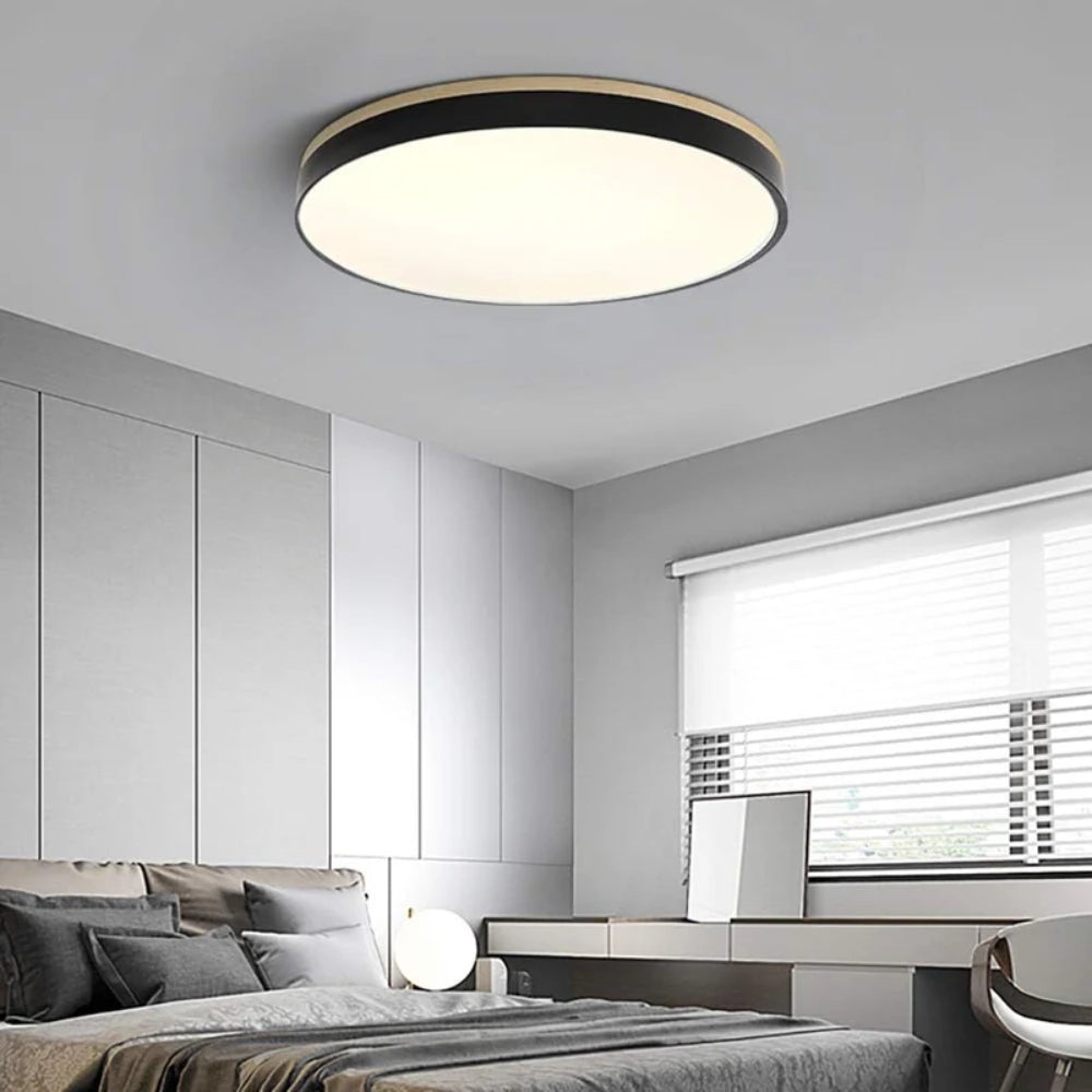 Round Slim LED Ceiling Fixture