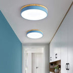 Round Slim LED Ceiling Fixture