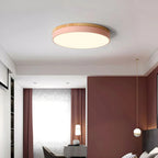 Round Slim LED Ceiling Fixture