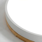 Round Slim LED Ceiling Fixture