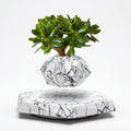 Decorative Base for Floating Magnetic Plant Pot