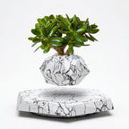Decorative Base for Floating Magnetic Plant Pot