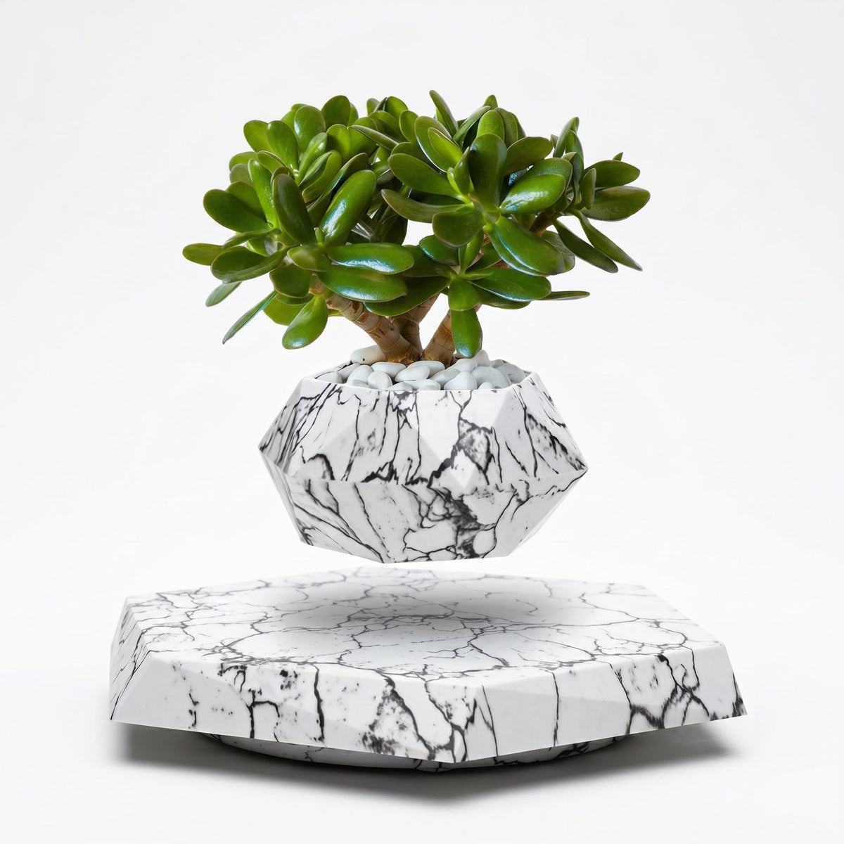 Decorative Base for Floating Magnetic Plant Pot