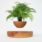 Decorative Base for Floating Magnetic Plant Pot