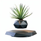Decorative Base for Floating Magnetic Plant Pot
