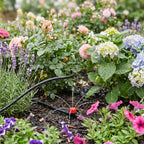 Automatic Water Timer for Garden Drip Irrigation System
