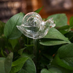 Self-Watering Glass Planter for Indoor Plants