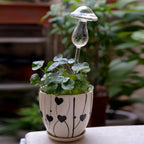 Self-Watering Glass Planter for Indoor Plants
