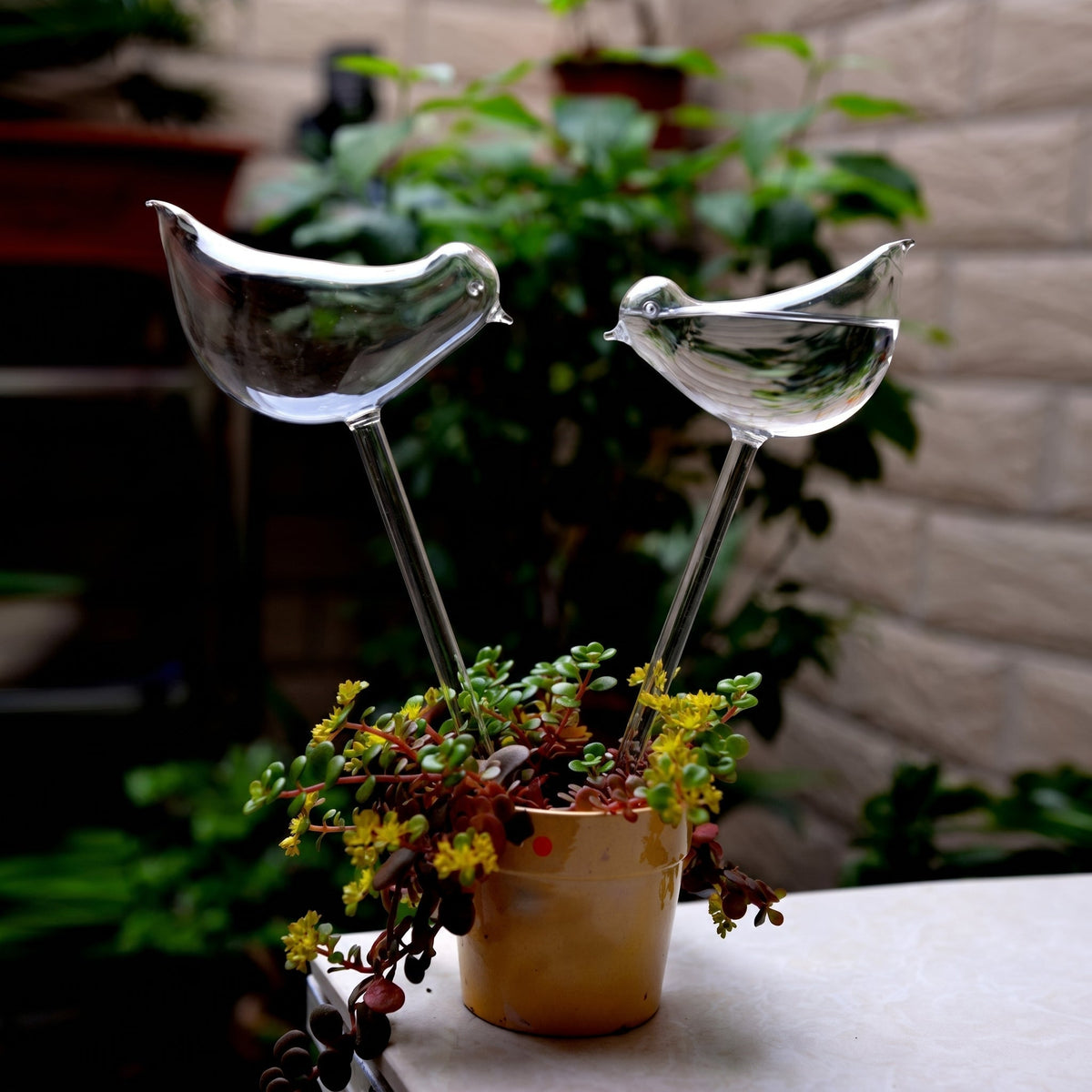 Self-Watering Glass Planter for Indoor Plants