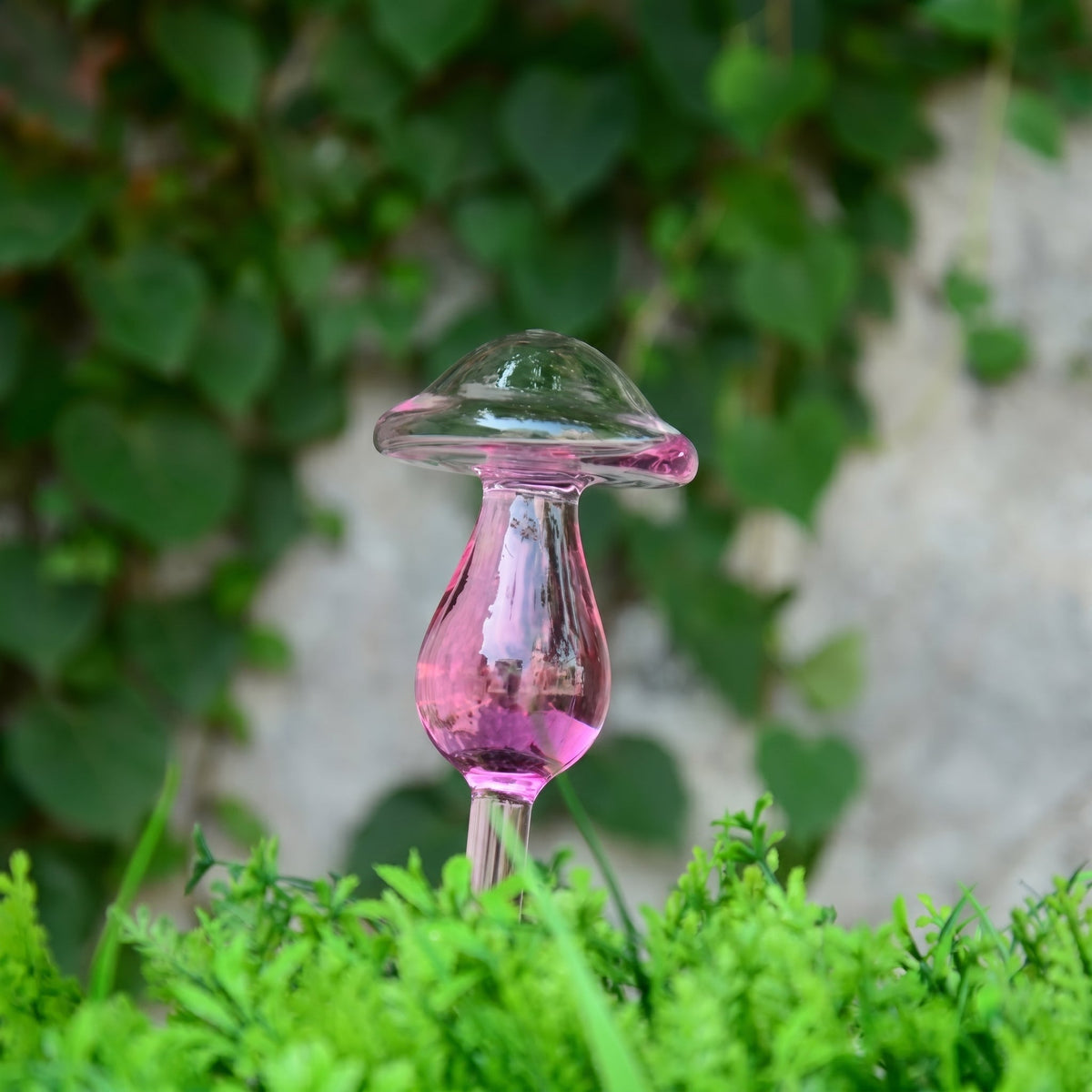 Self-Watering Glass Planter for Indoor Plants