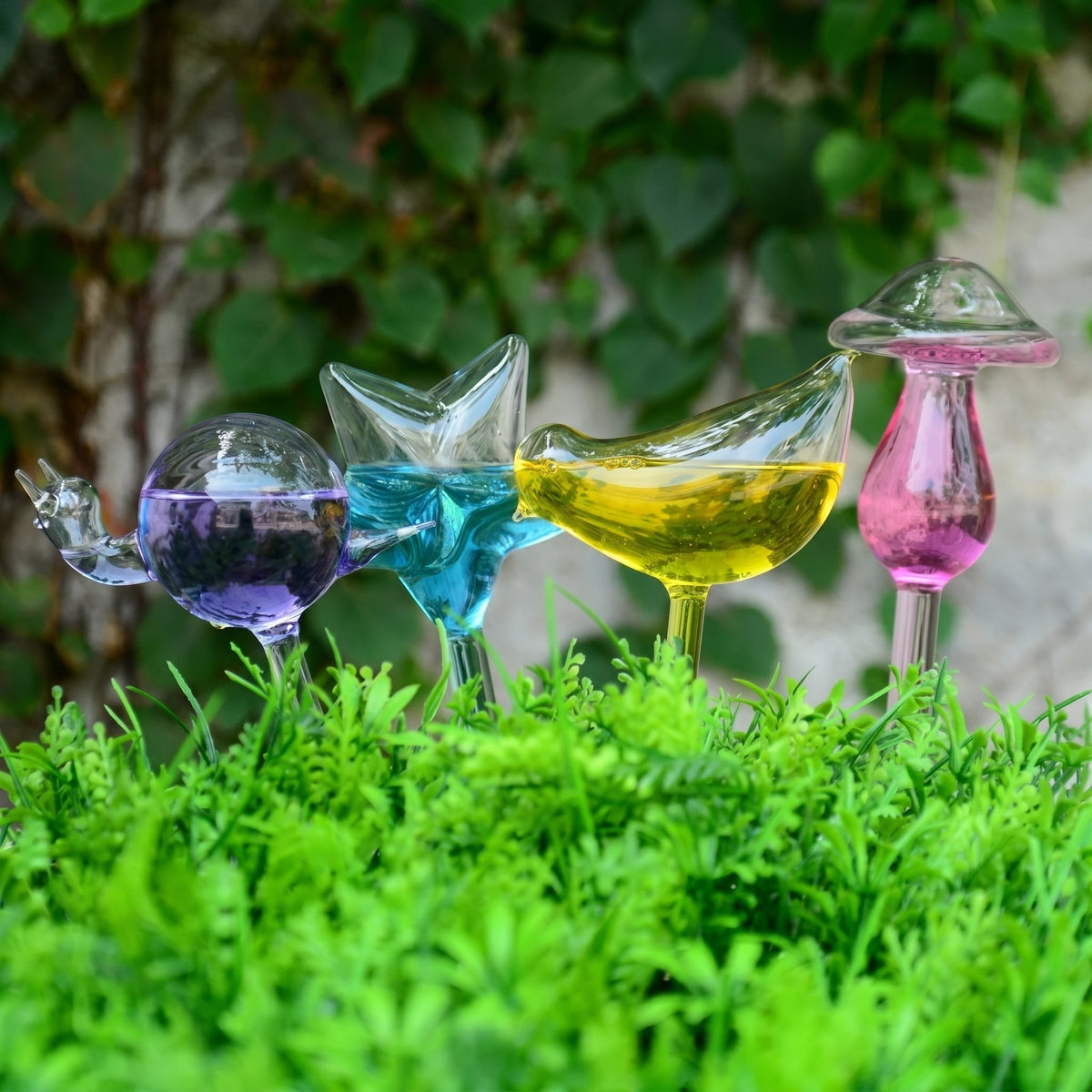 Self-Watering Glass Planter for Indoor Plants