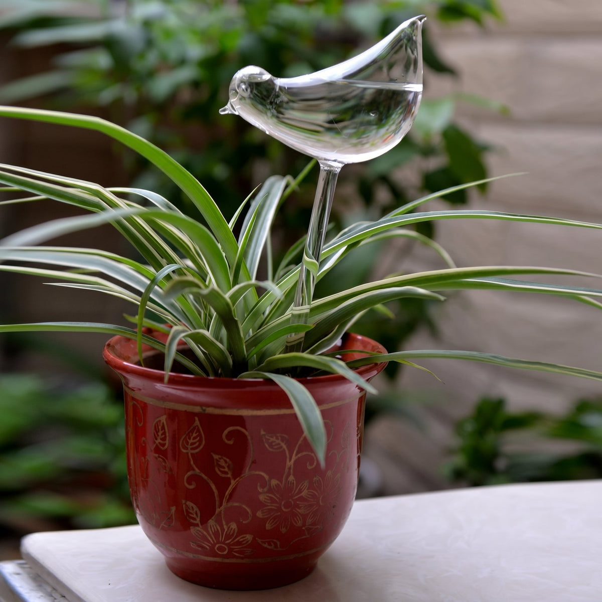 Self-Watering Glass Planter for Indoor Plants