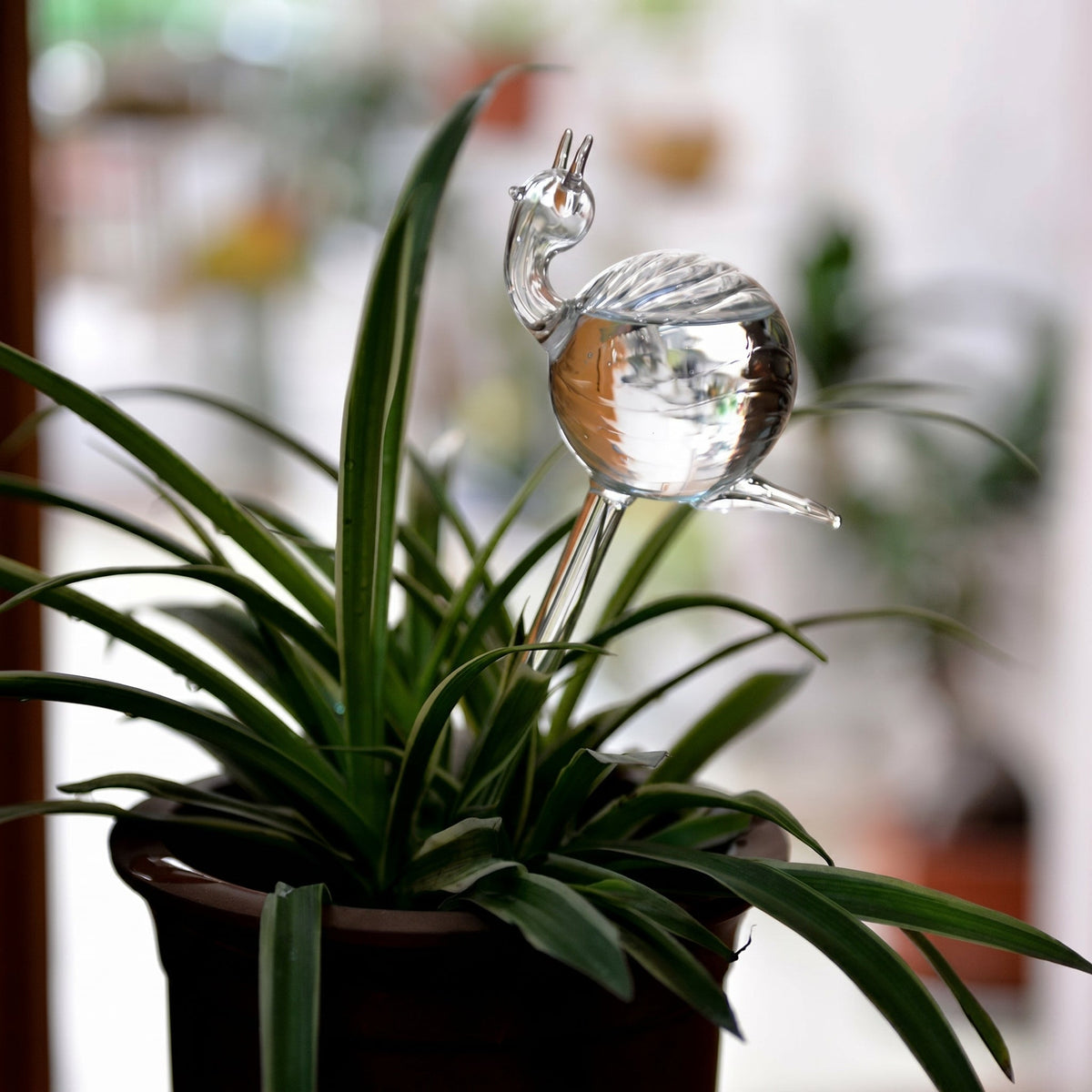 Self-Watering Glass Planter for Indoor Plants