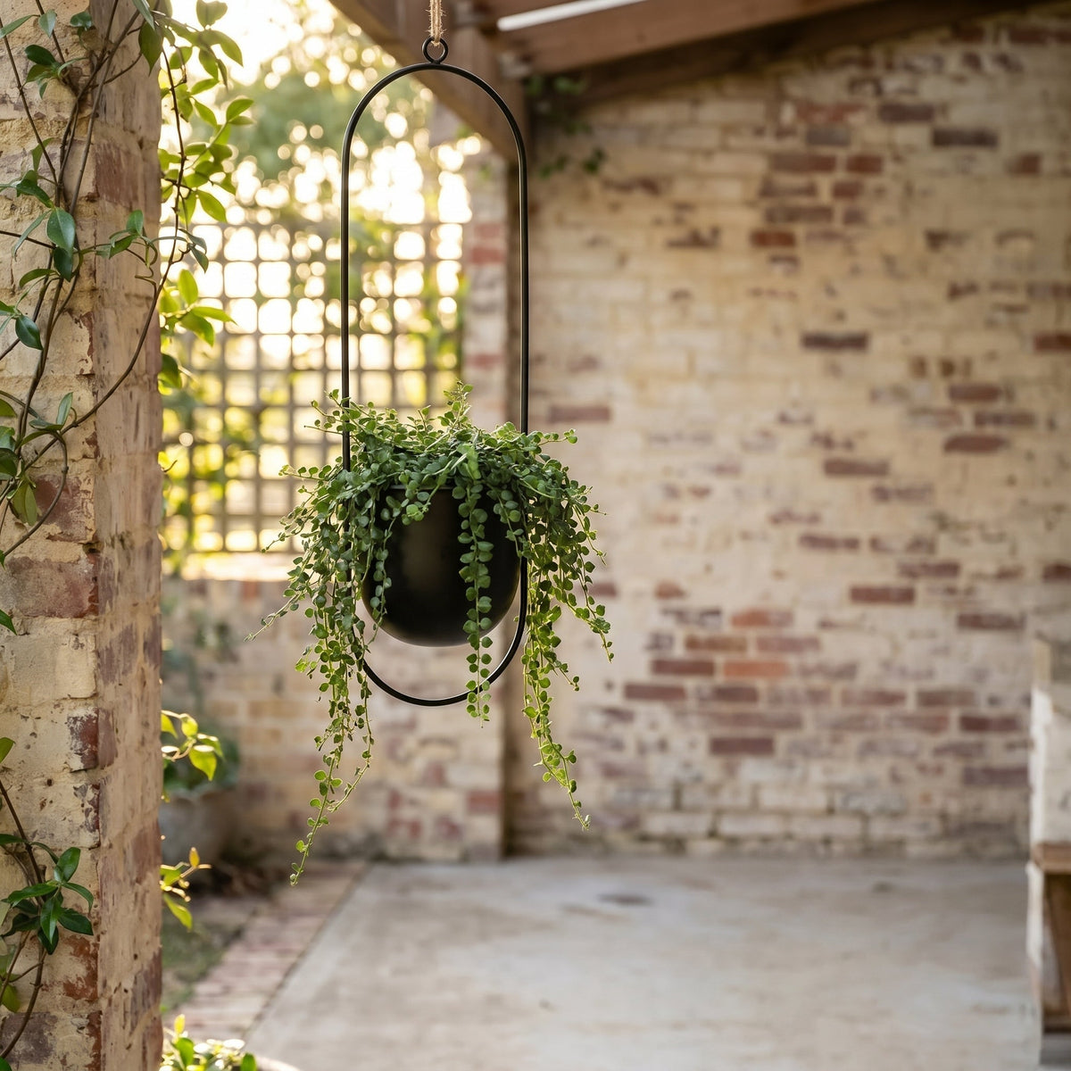 Metal Framed Hanging Planter Pot