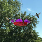 Outdoor Hanging Bird Feeder for Hummingbirds