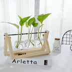 Glass Hydroponic Planter in Wooden Stand for Indoor Plants