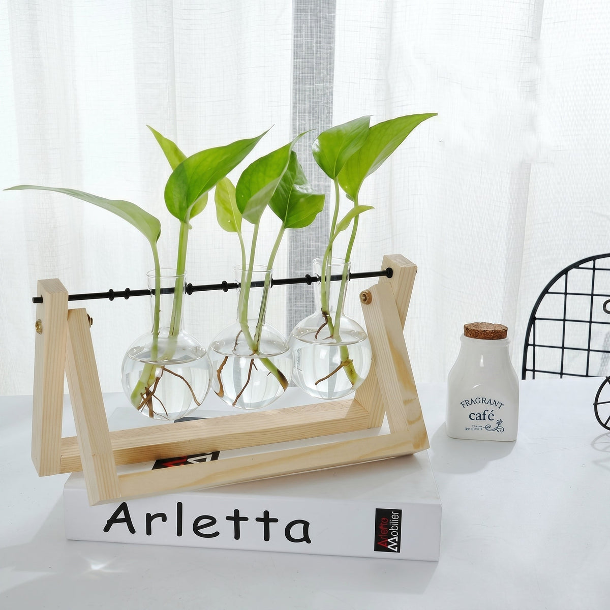 Glass Hydroponic Planter in Wooden Stand for Indoor Plants
