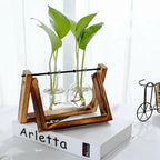 Glass Hydroponic Planter in Wooden Stand for Indoor Plants
