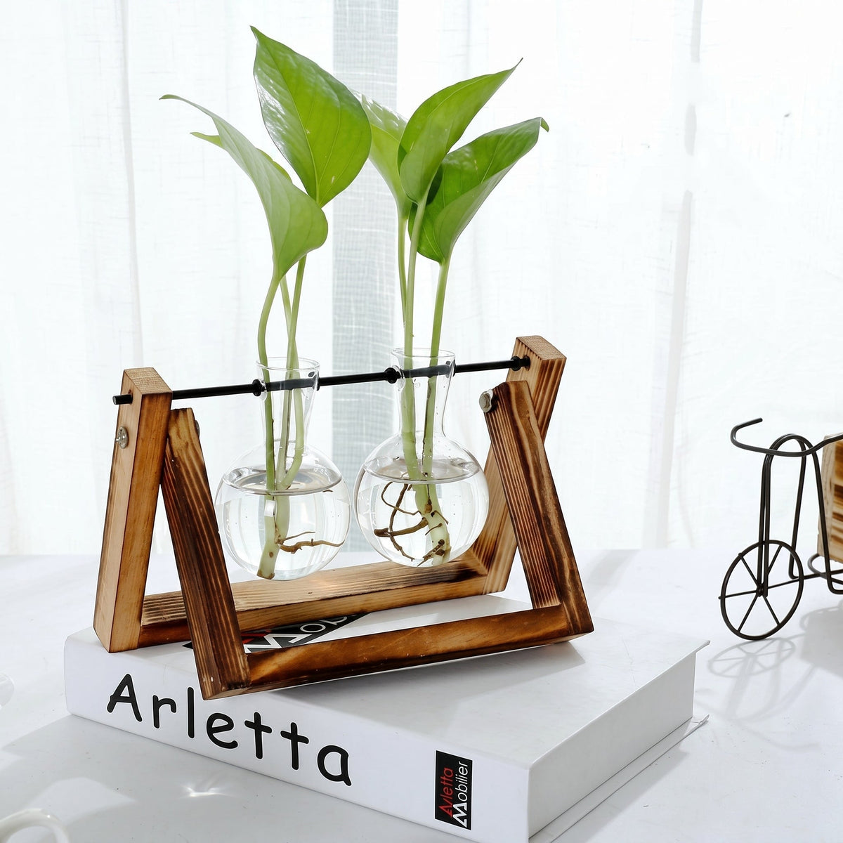 Glass Hydroponic Planter in Wooden Stand for Indoor Plants