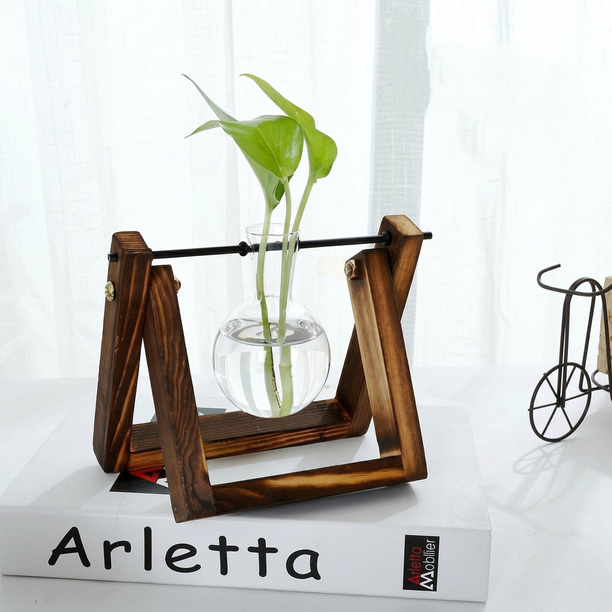 Glass Hydroponic Planter in Wooden Stand for Indoor Plants