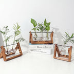 Glass Hydroponic Planter in Wooden Stand for Indoor Plants