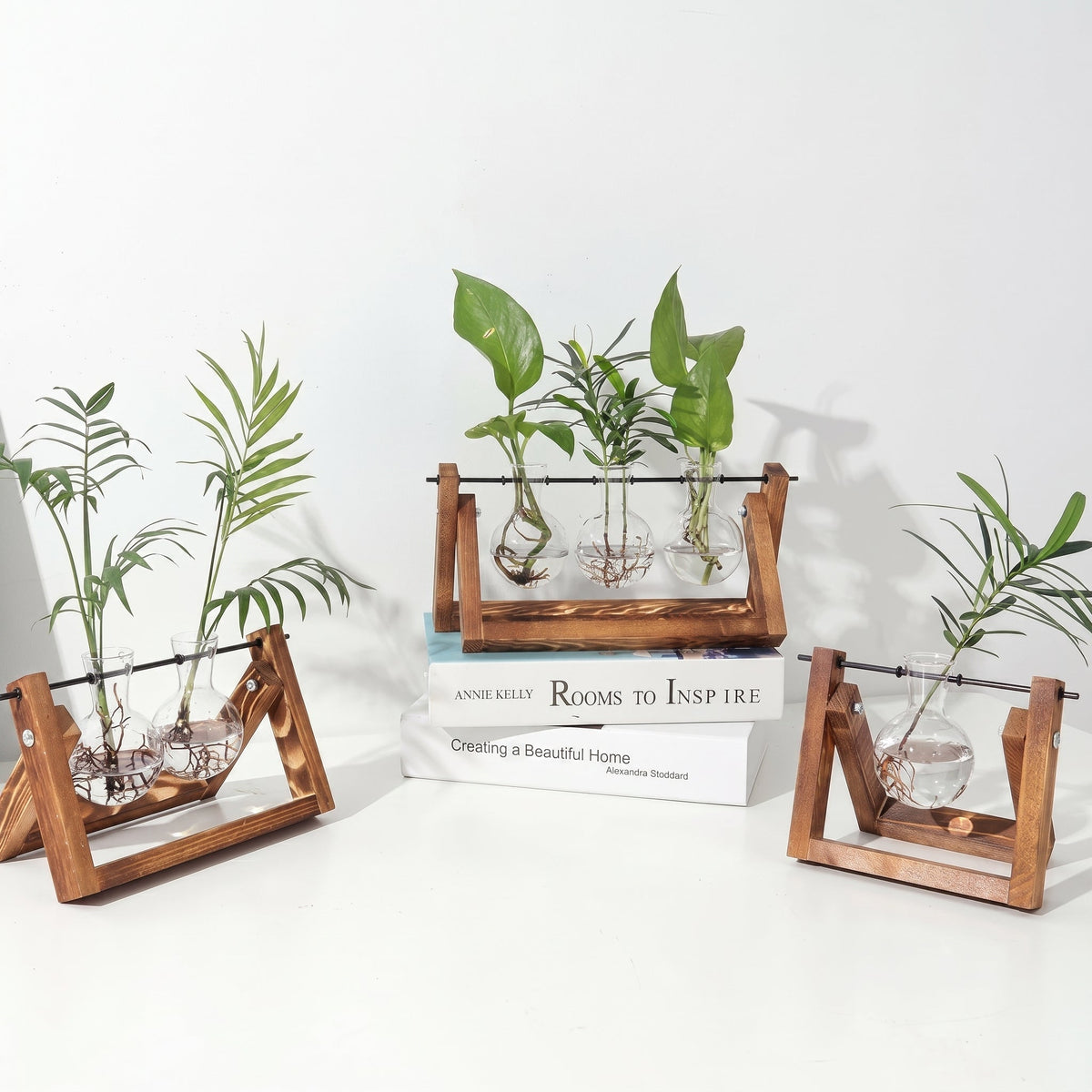 Glass Hydroponic Planter in Wooden Stand for Indoor Plants