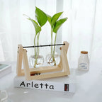 Glass Hydroponic Planter in Wooden Stand for Indoor Plants