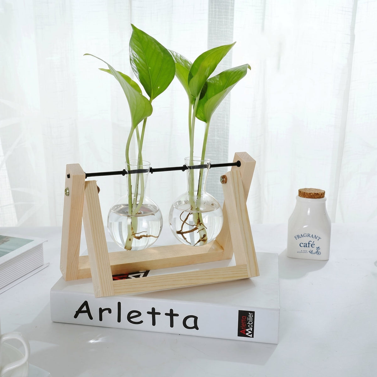 Glass Hydroponic Planter in Wooden Stand for Indoor Plants