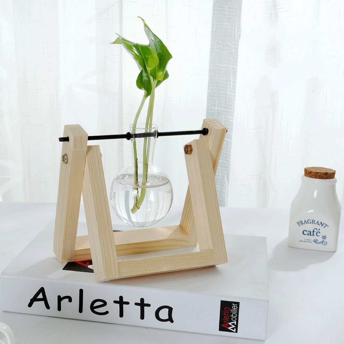 Glass Hydroponic Planter in Wooden Stand for Indoor Plants