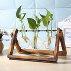 Glass Hydroponic Planter in Wooden Stand for Indoor Plants