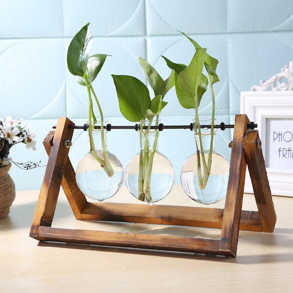 Glass Hydroponic Planter in Wooden Stand for Indoor Plants