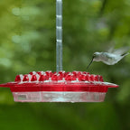 Nectar Feeder with Ant Moat for Hanging Hummingbirds