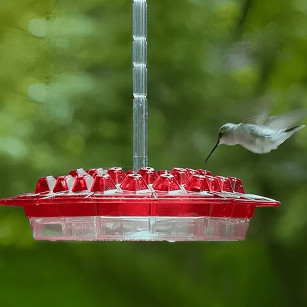 Nectar Feeder with Ant Moat for Hanging Hummingbirds