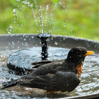 Garden Water Feature Pump Powered by Solar for Outdoor Fountains