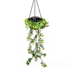 Solar-Powered Ivy Lantern for Hanging – 8 Lighting Options