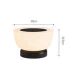LED Pathway Lamp for Outdoors | Solar-Powered Landing Light